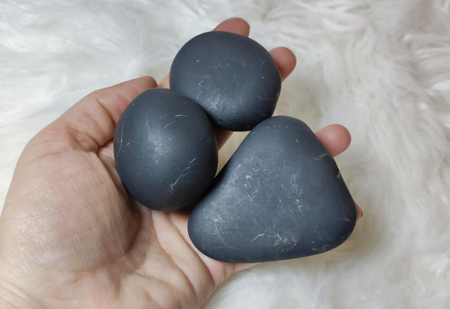 Rodado shungit natural