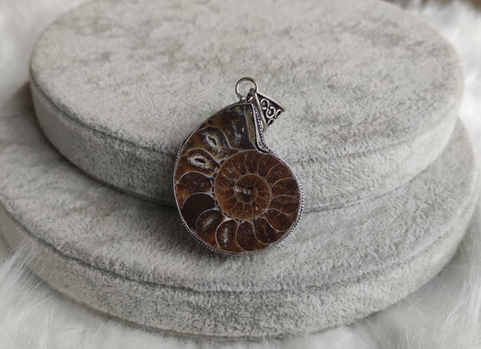 Colgante baño de plata con fósil amonite fosil - Nautilus