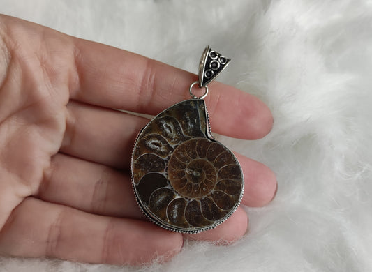 Colgante baño de plata con fósil amonite fosil - Nautilus