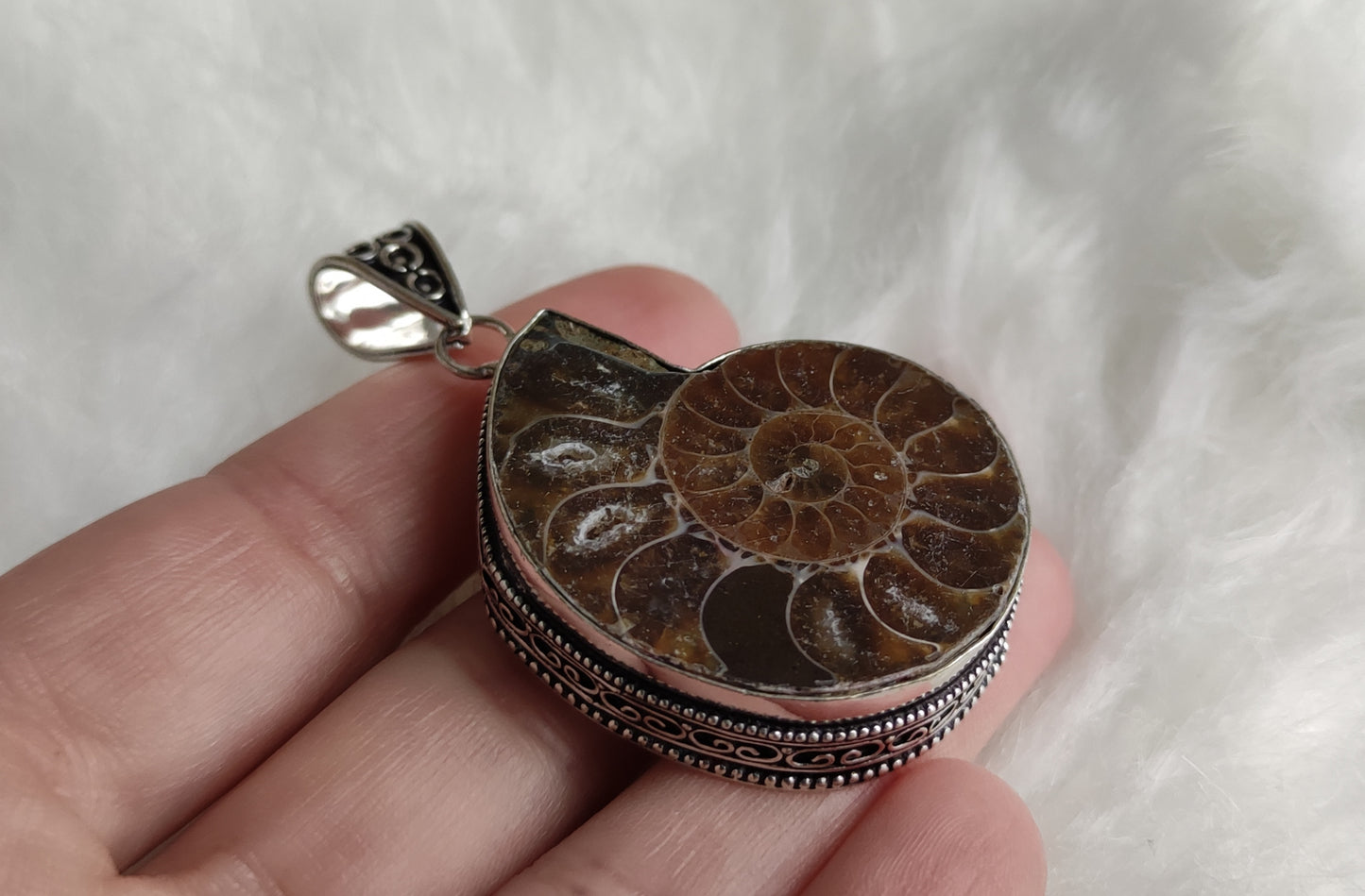 Colgante baño de plata con fósil amonite fosil - Nautilus