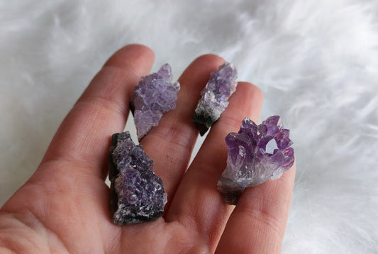 Drusas de amatista - Varios tamaños