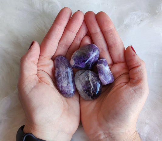 Rodado amatista y pasiotrino