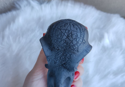 Orgonita Calavera cuervo