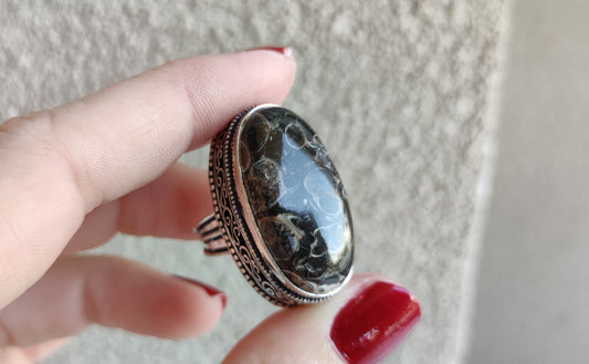 Anillo baño de plata y agata turritella