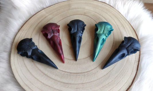 Calavera cuervo - Mediana