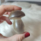 Seta Flúorita