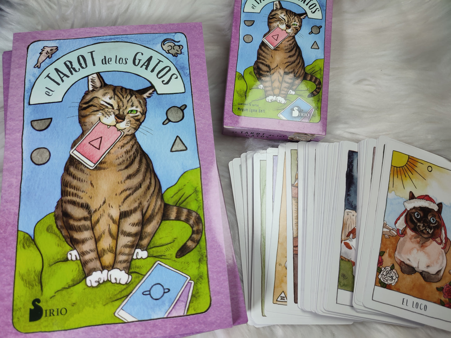 El Tarot de los Gatos