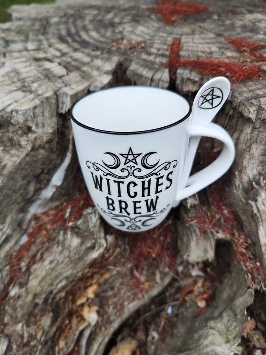 Taza Cafe - Witches Brew 😽😽