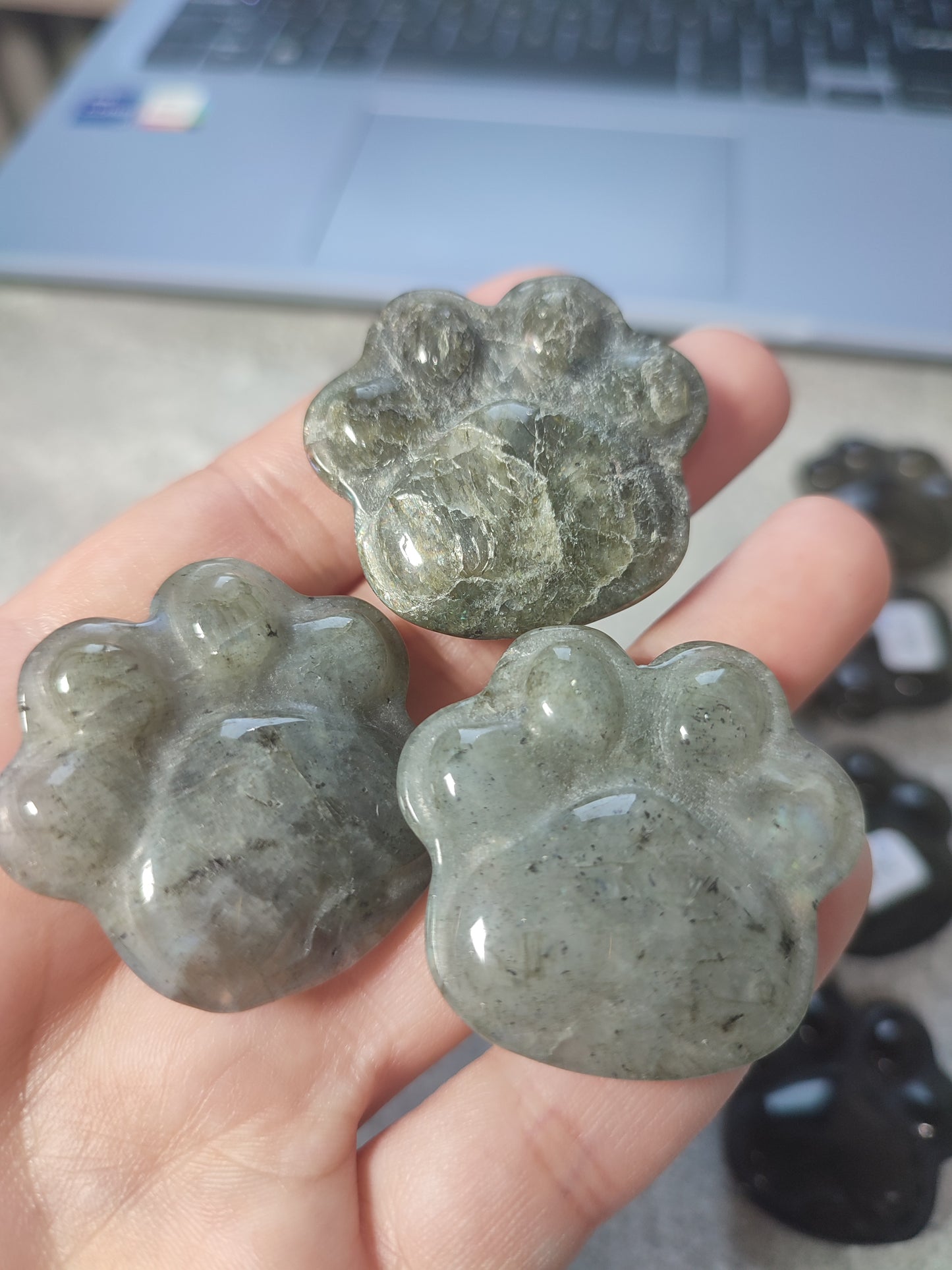 Huella Gato/Perro tallada en diferentes minerales