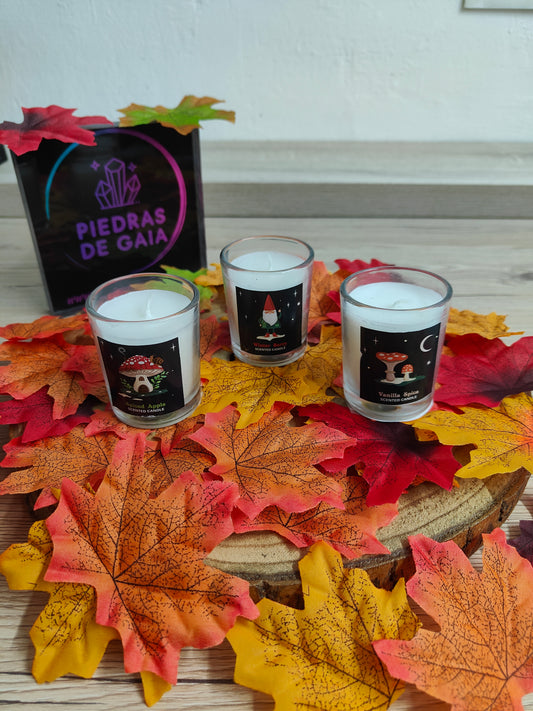 Set Velas Gnomos