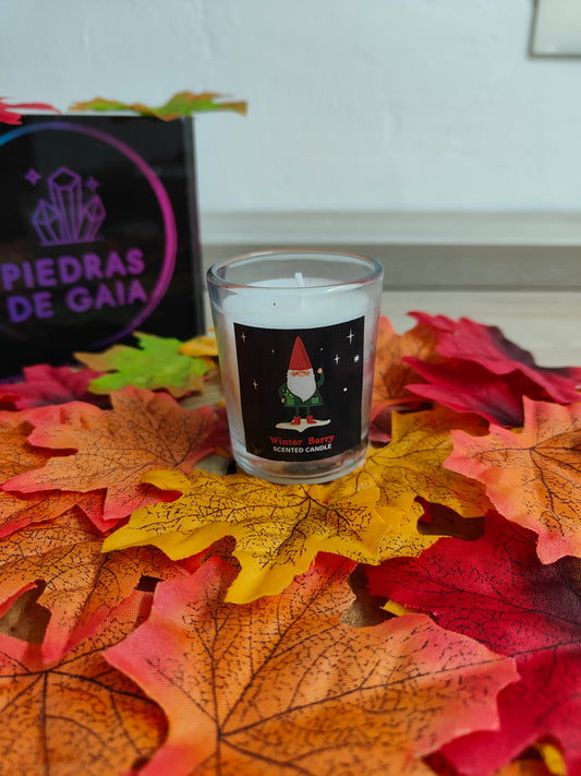 Set Velas Gnomos