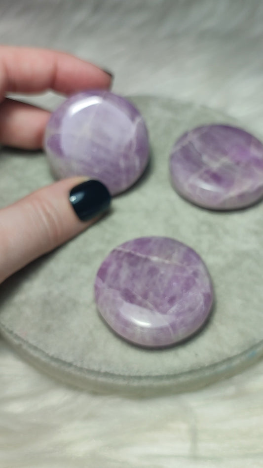 Rodado plano kuncita - Vídeo para escoger