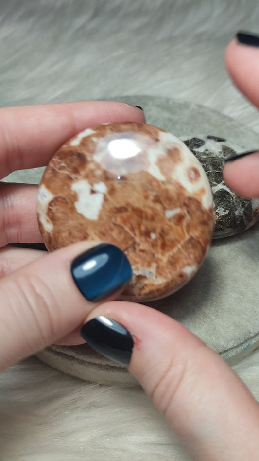 Rodado plano granate en wollastonita - Vídeo para escoger