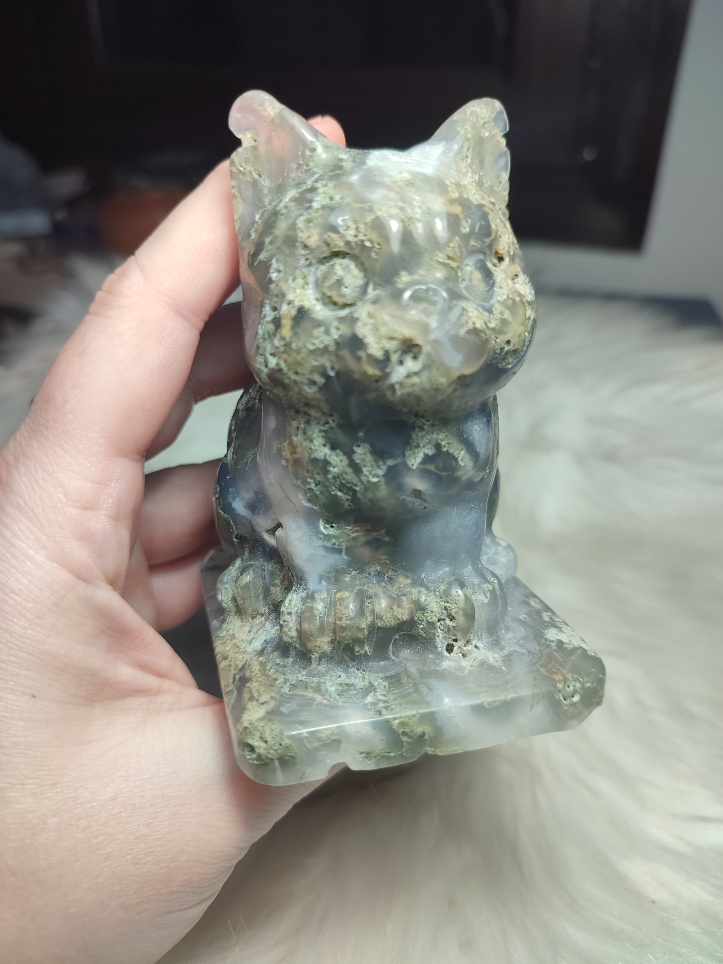 Gata ágata musgo + 500 gramos