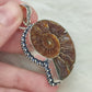 Colgante baño de plata con fósil amonite fosil - Nautilus 164
