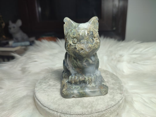 Gata ágata musgo + 500 gramos