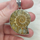 Colgante baño de plata con fósil amonite fosil - Nautilus 178