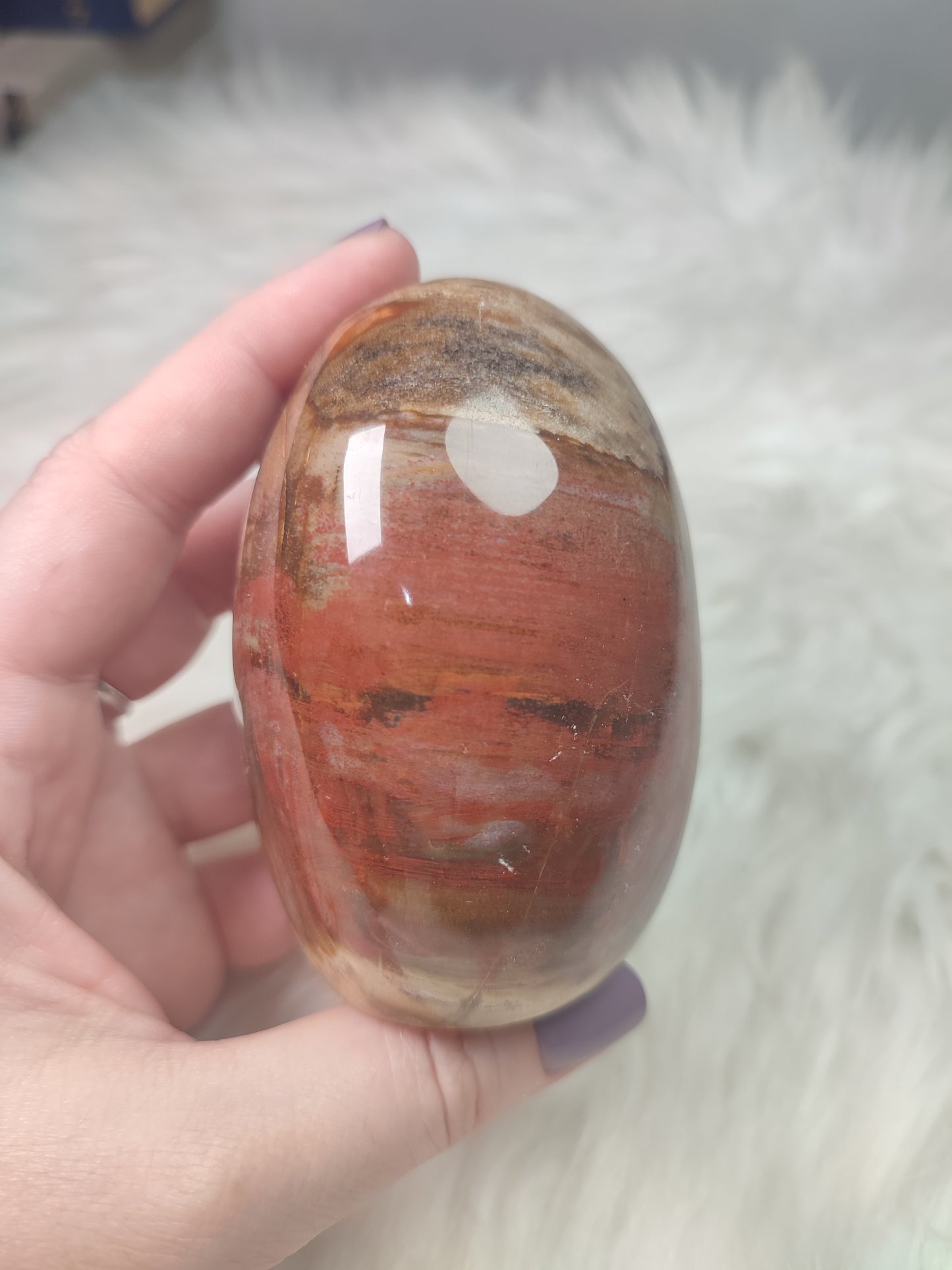 Monolito xilopalo fosilizada n° 9