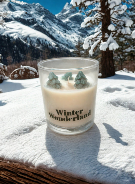 Vela Invernal - 17h de Encanto