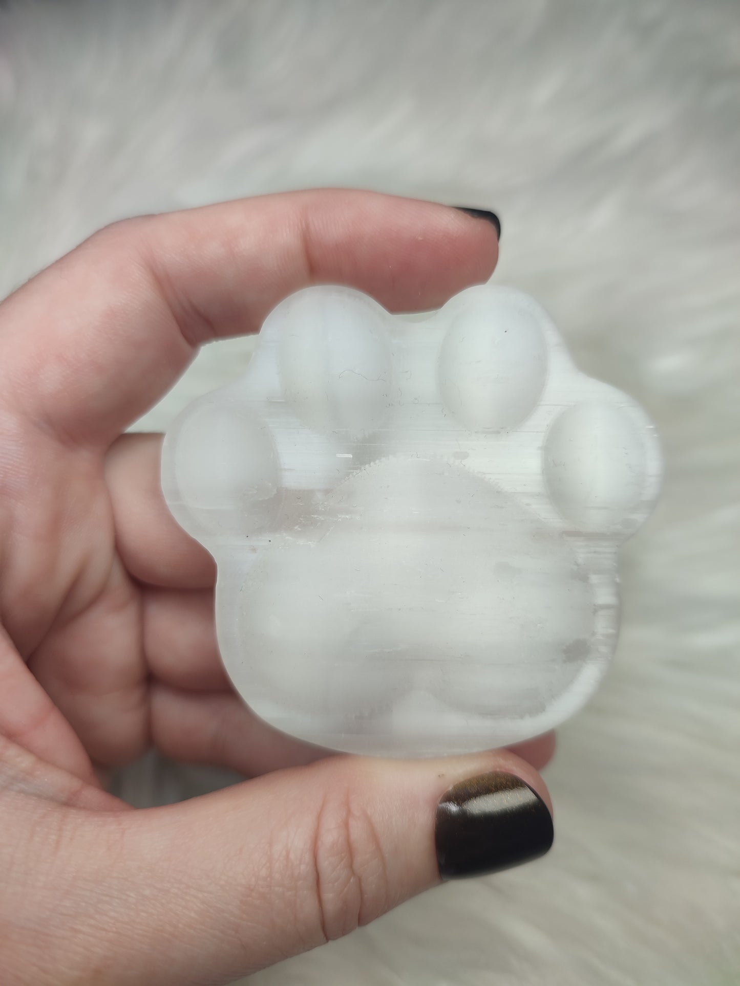 Huella o patita de perro o gato en selenita