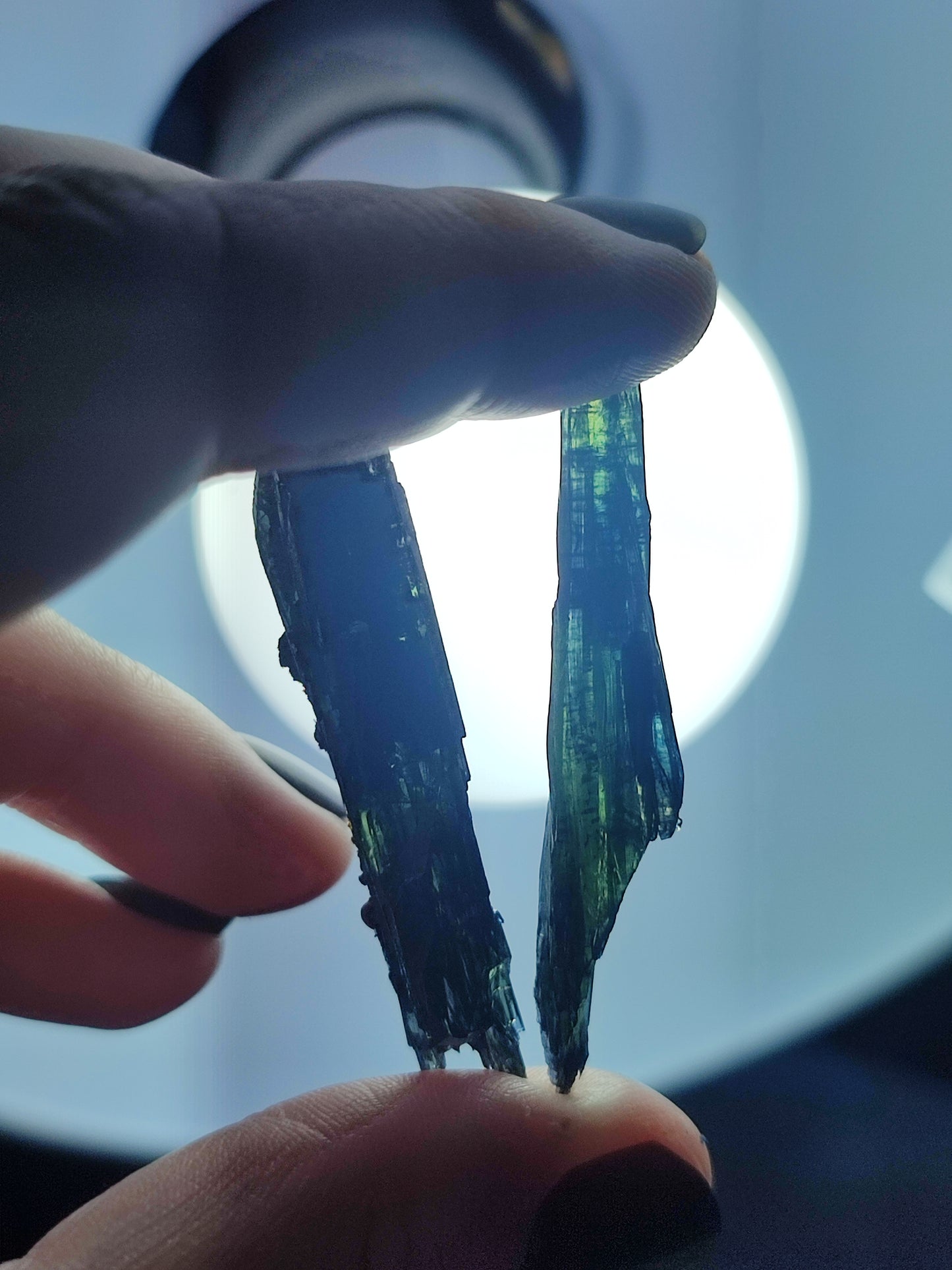 Vivianita - Necromineral n° 114