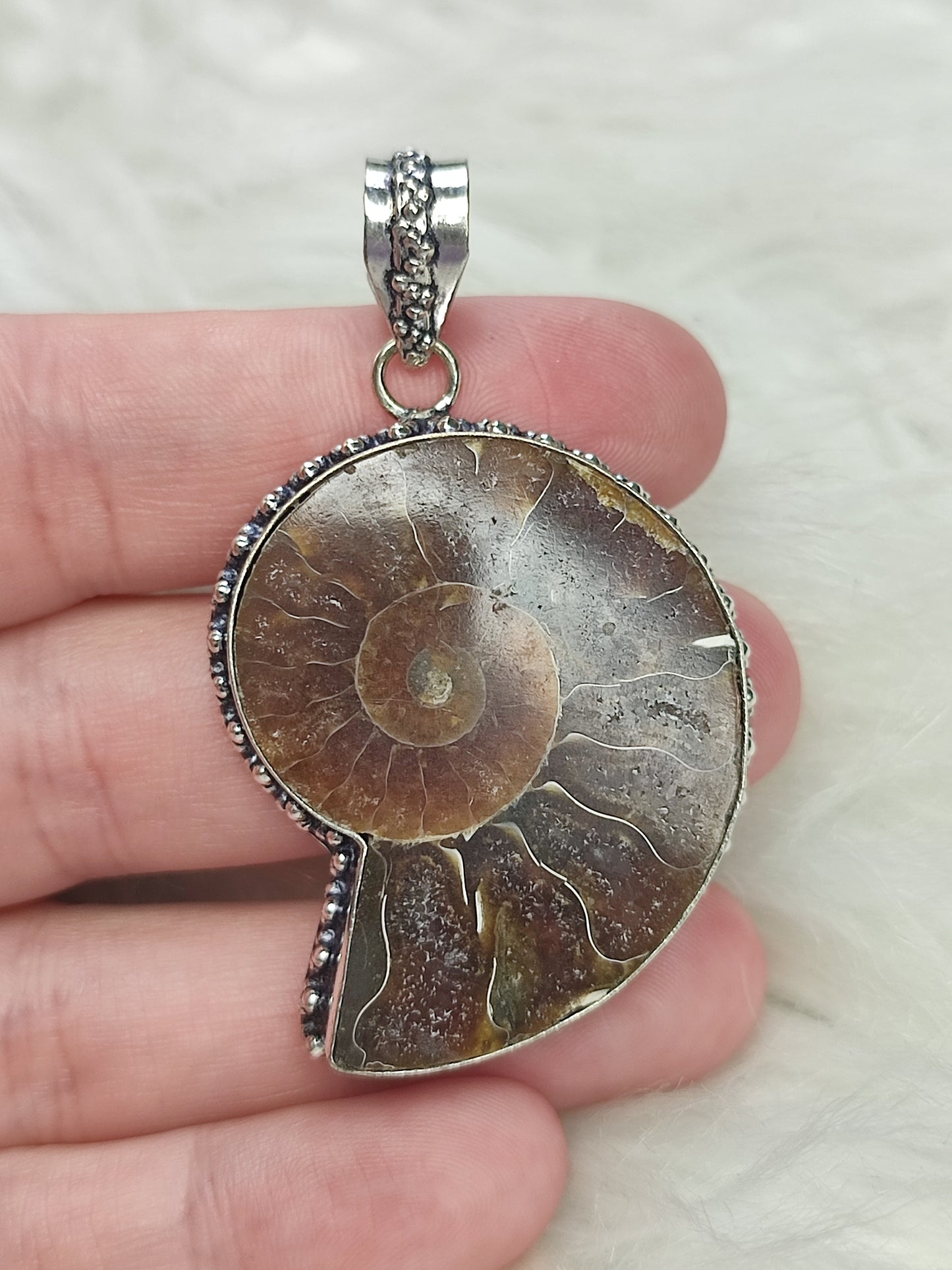 Colgante baño de plata con fósil amonite fosil - Nautilus 164