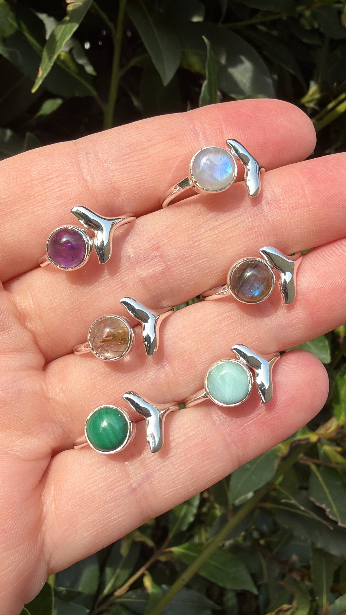 ✨ Novedades ✨