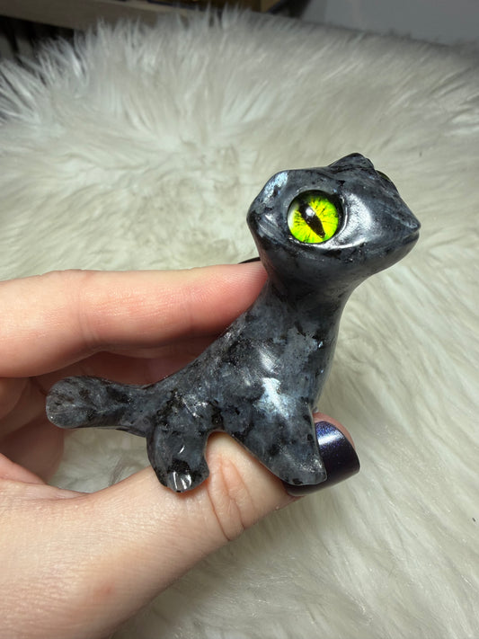Lagarto Tom en larvikita