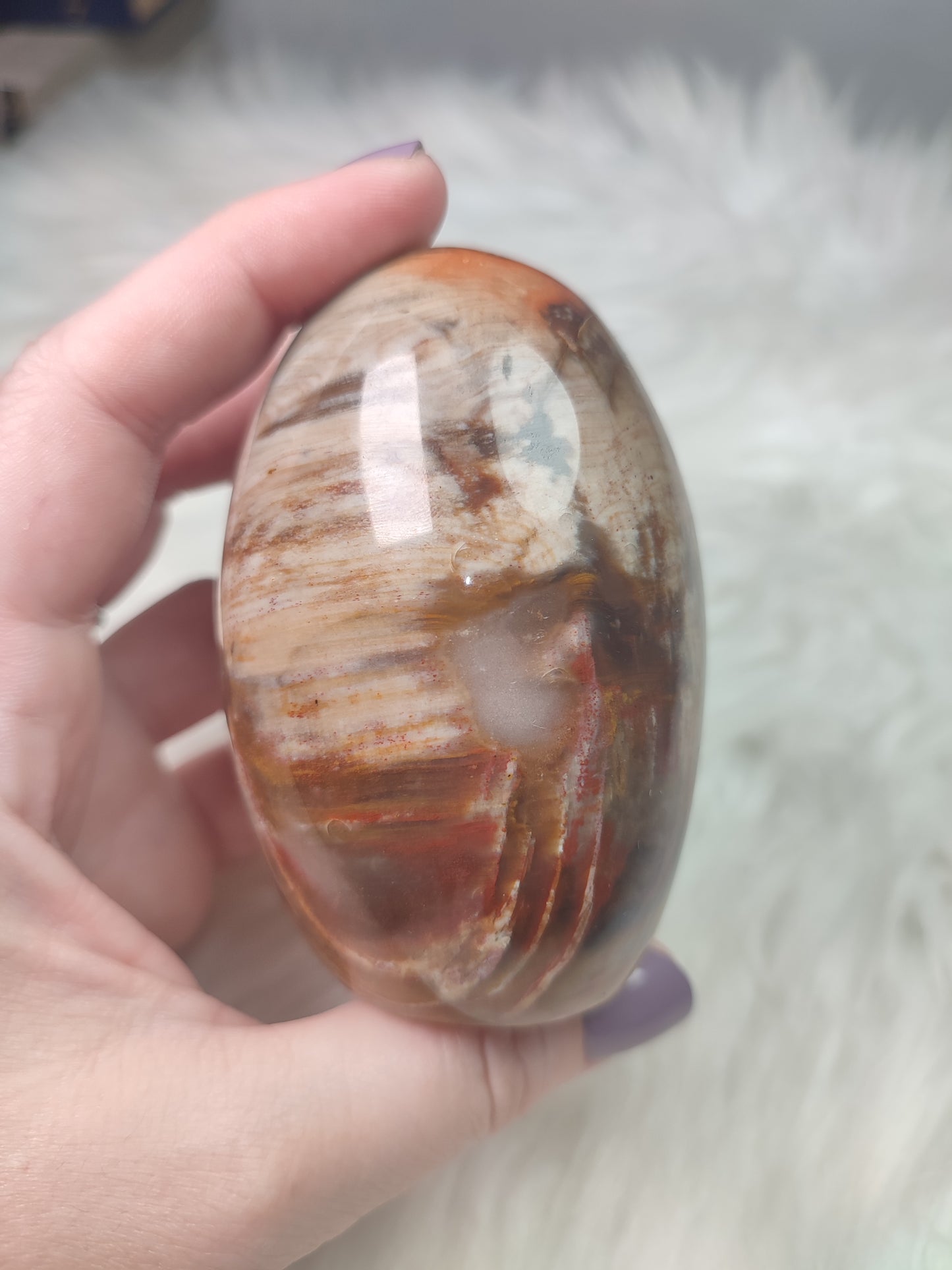 Monolito xilopalo fosilizada n° 9