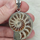 Colgante baño de plata con fósil amonite fosil - Nautilus 165