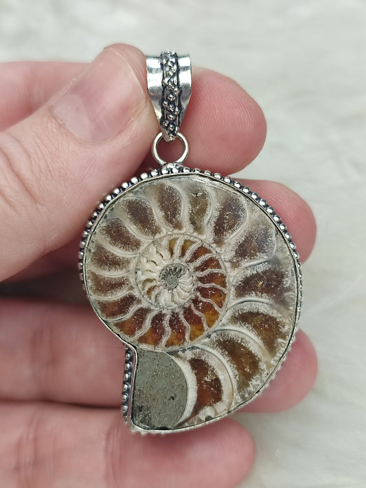Colgante baño de plata con fósil amonite fosil - Nautilus 165