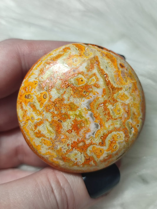 Rodado jaspe abejorro n°43