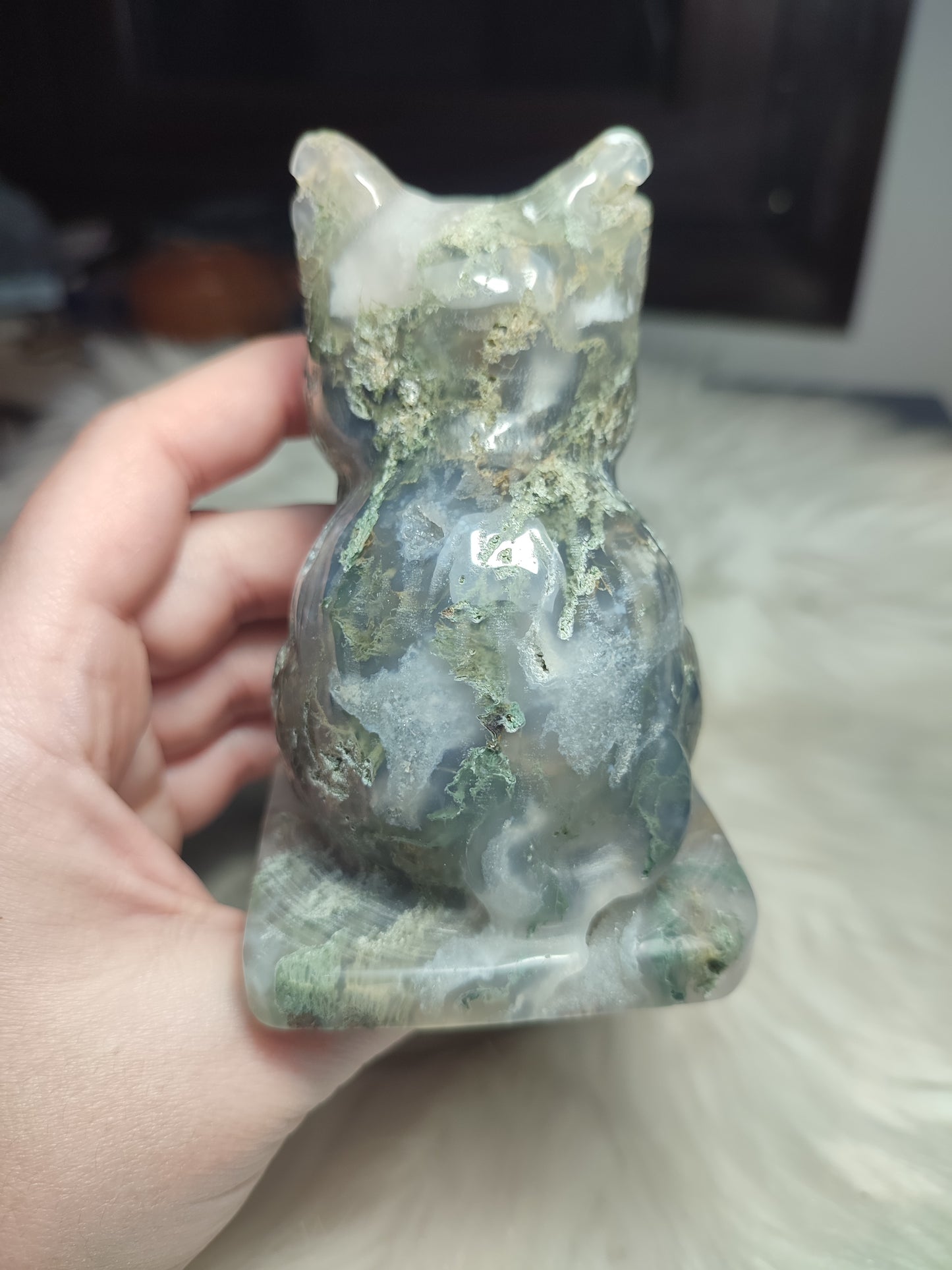 Gata ágata musgo + 500 gramos