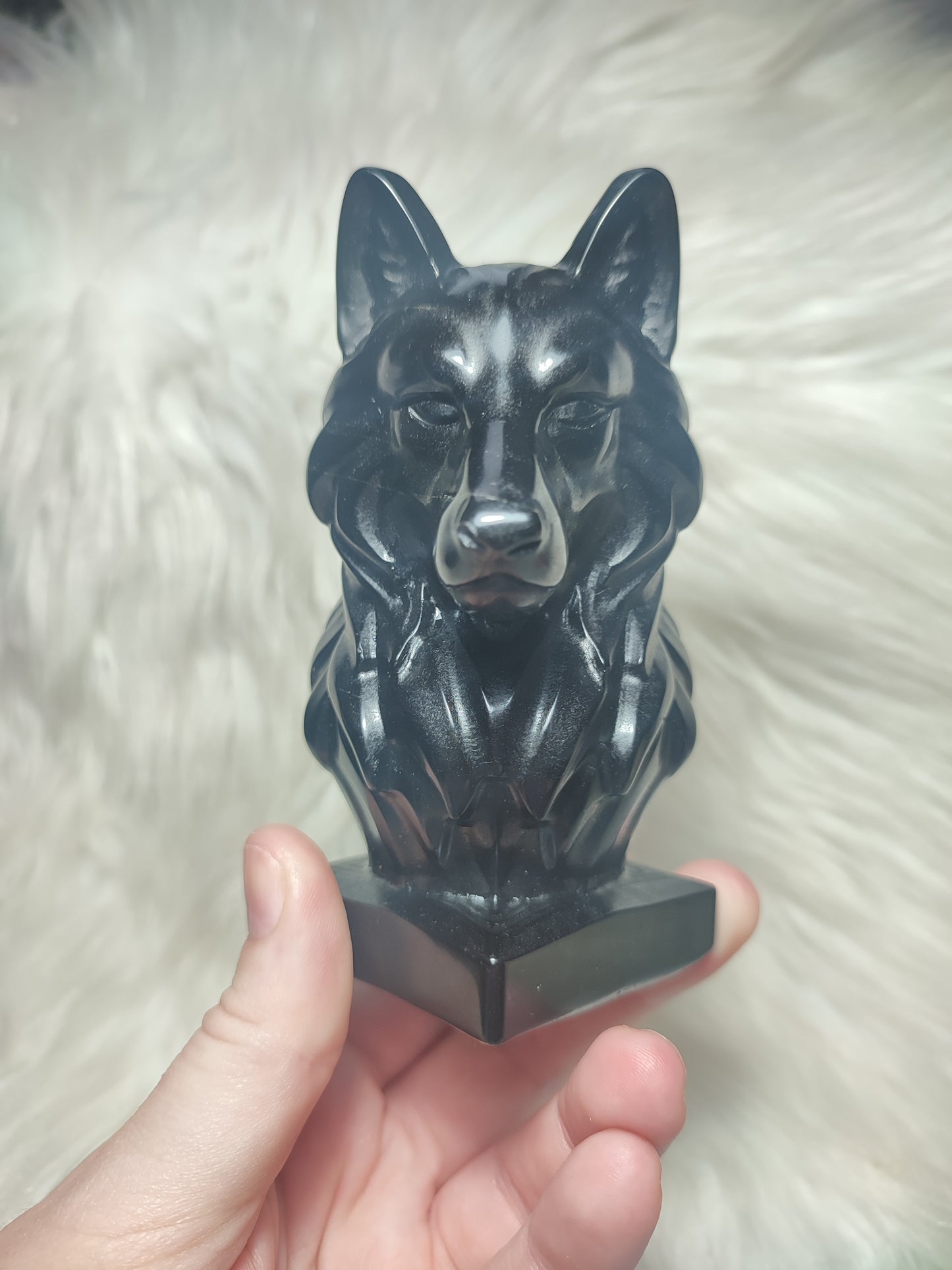 Lobo obsidiana negra n°265