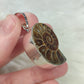 Colgante baño de plata con fósil amonite fosil - Nautilus 179