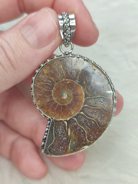Colgante baño de plata con fósil amonite fosil - Nautilus 164