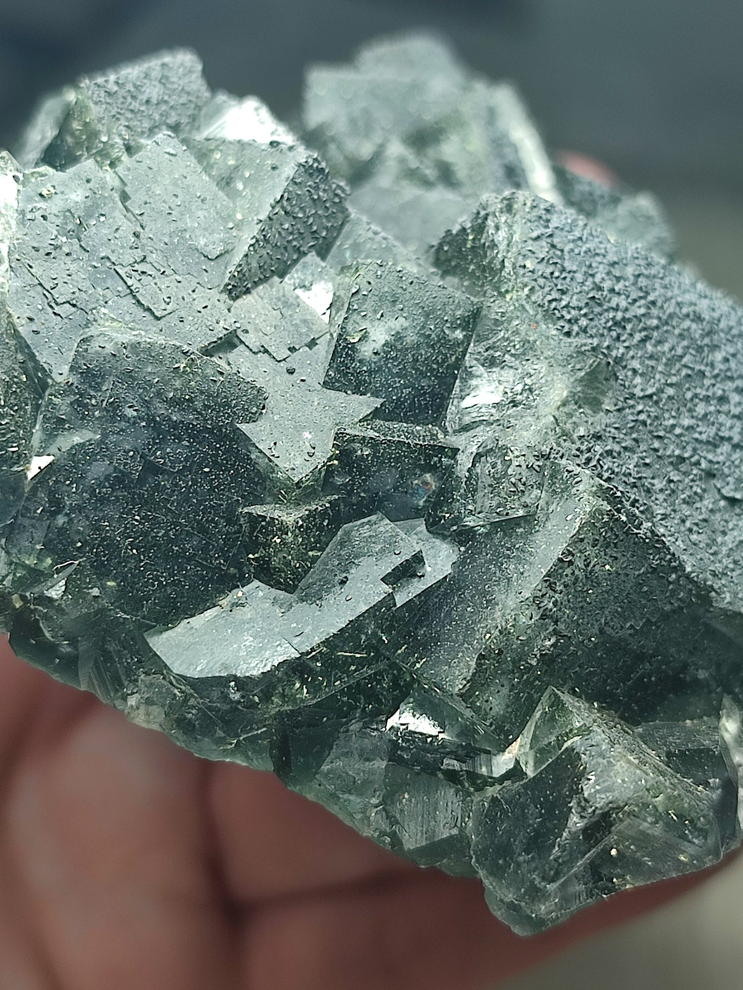 Flúorita cúbica con galena 490 gramos - ver video