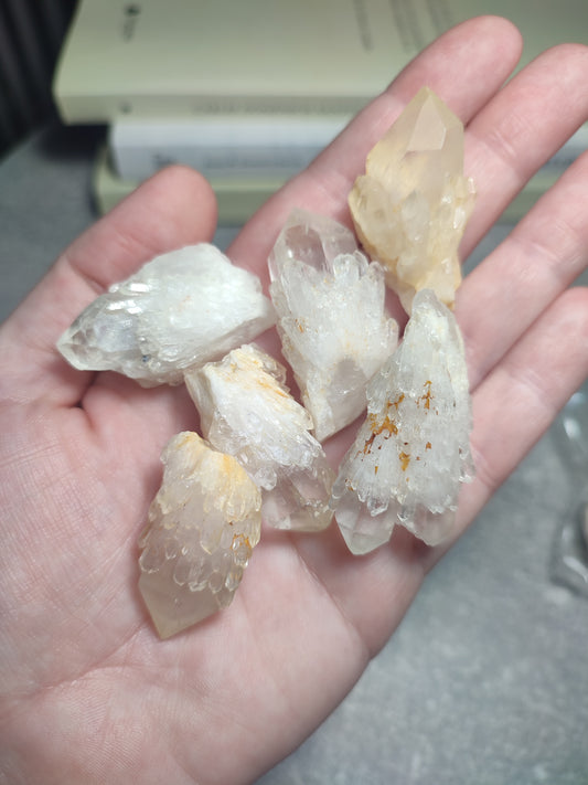 Pack cuarzo alcachofa - Maestro brotación ( 100 gr aprox )