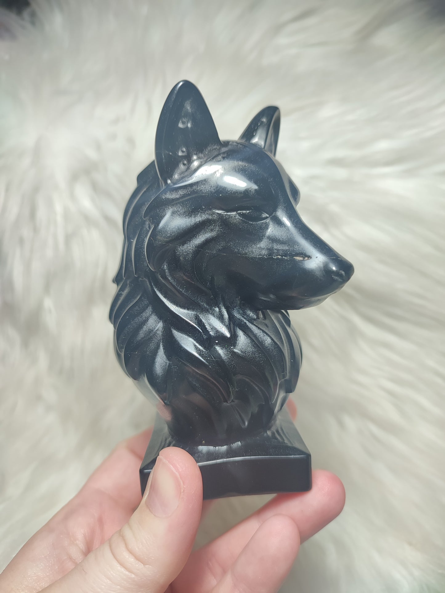 Lobo obsidiana negra n°265