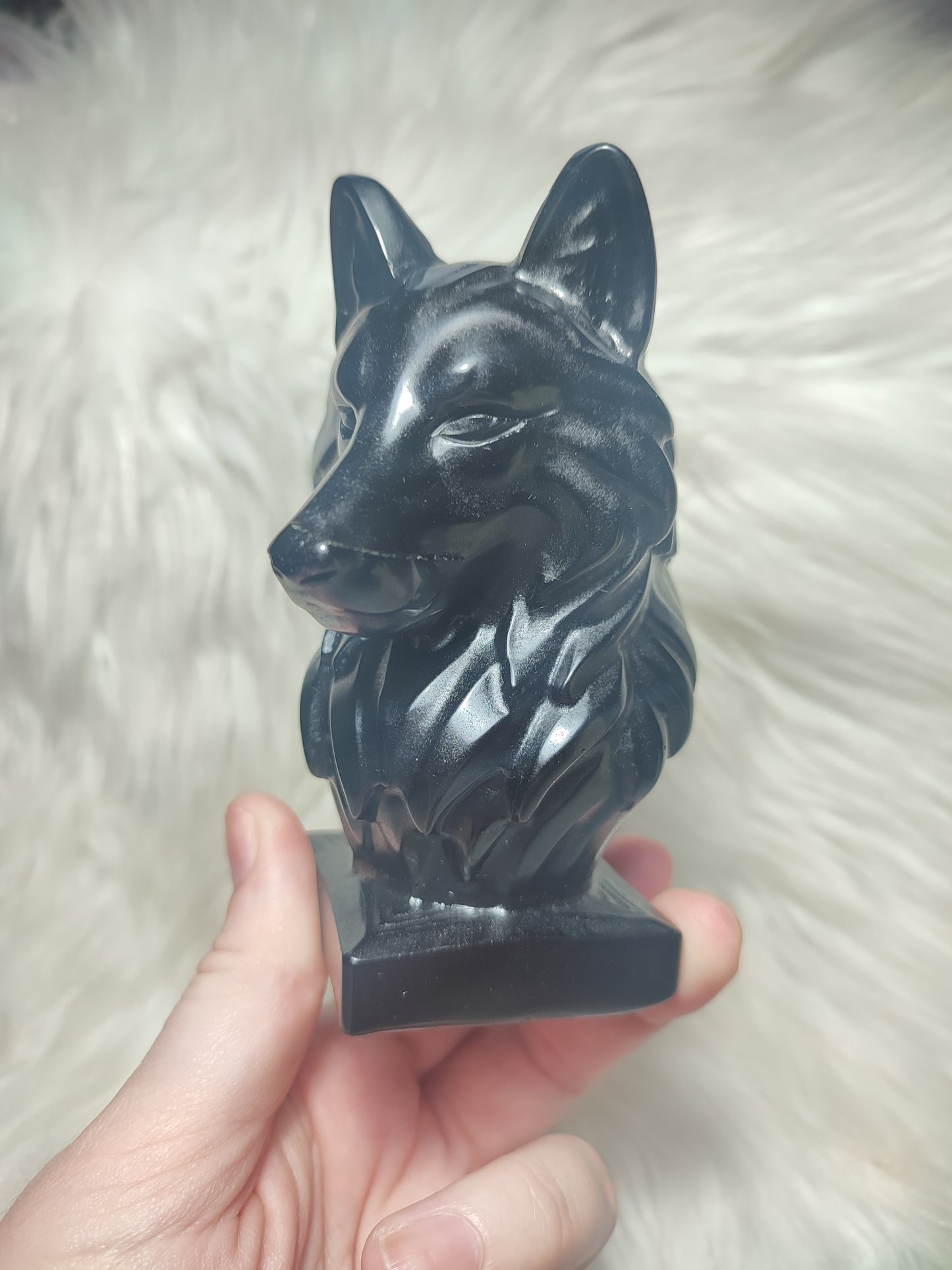 Lobo obsidiana negra n°265