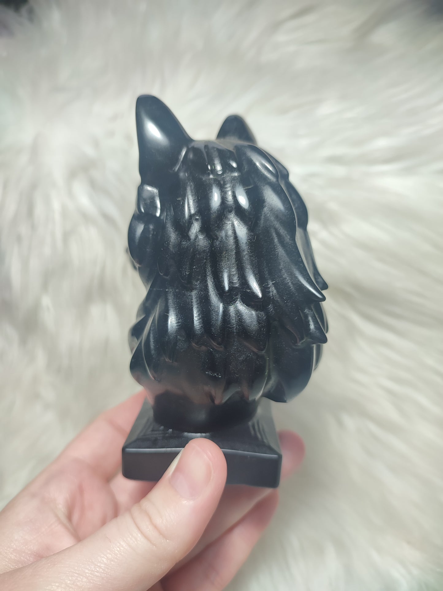 Lobo obsidiana negra n°265