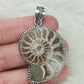 Colgante baño de plata con fósil amonite fosil - Nautilus 165