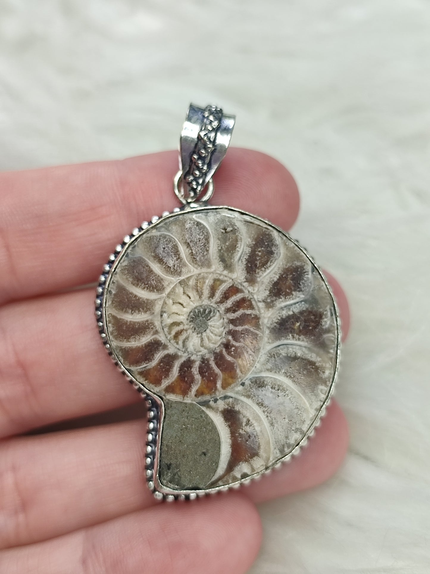 Colgante baño de plata con fósil amonite fosil - Nautilus 165