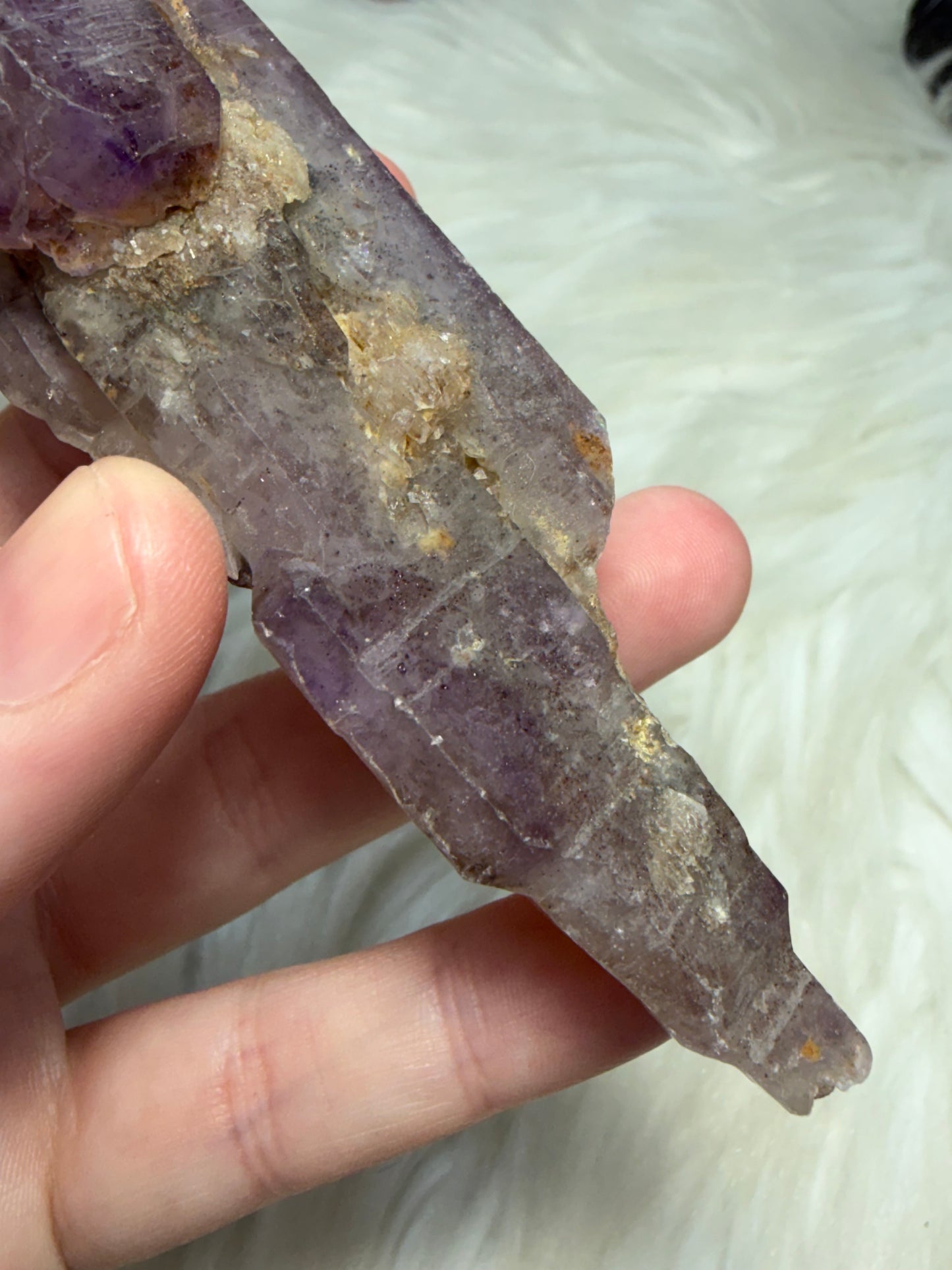 Amatista Cetro acoplados - Esqueleto 245 - VIDEO