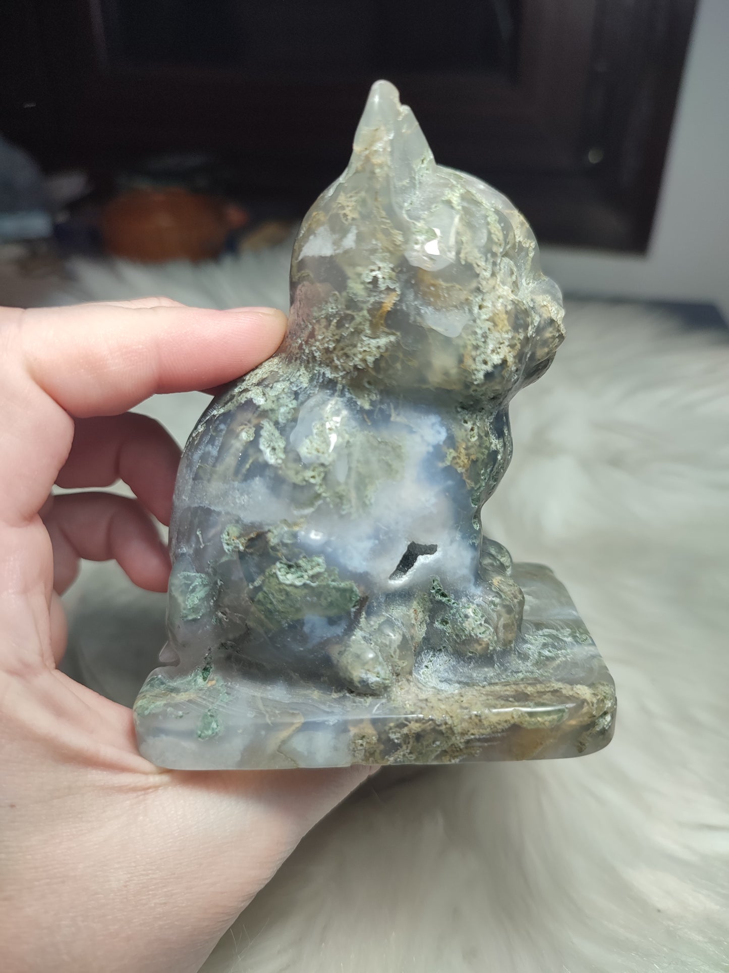 Gata ágata musgo + 500 gramos