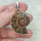 Colgante baño de plata con fósil amonite fosil - Nautilus 179