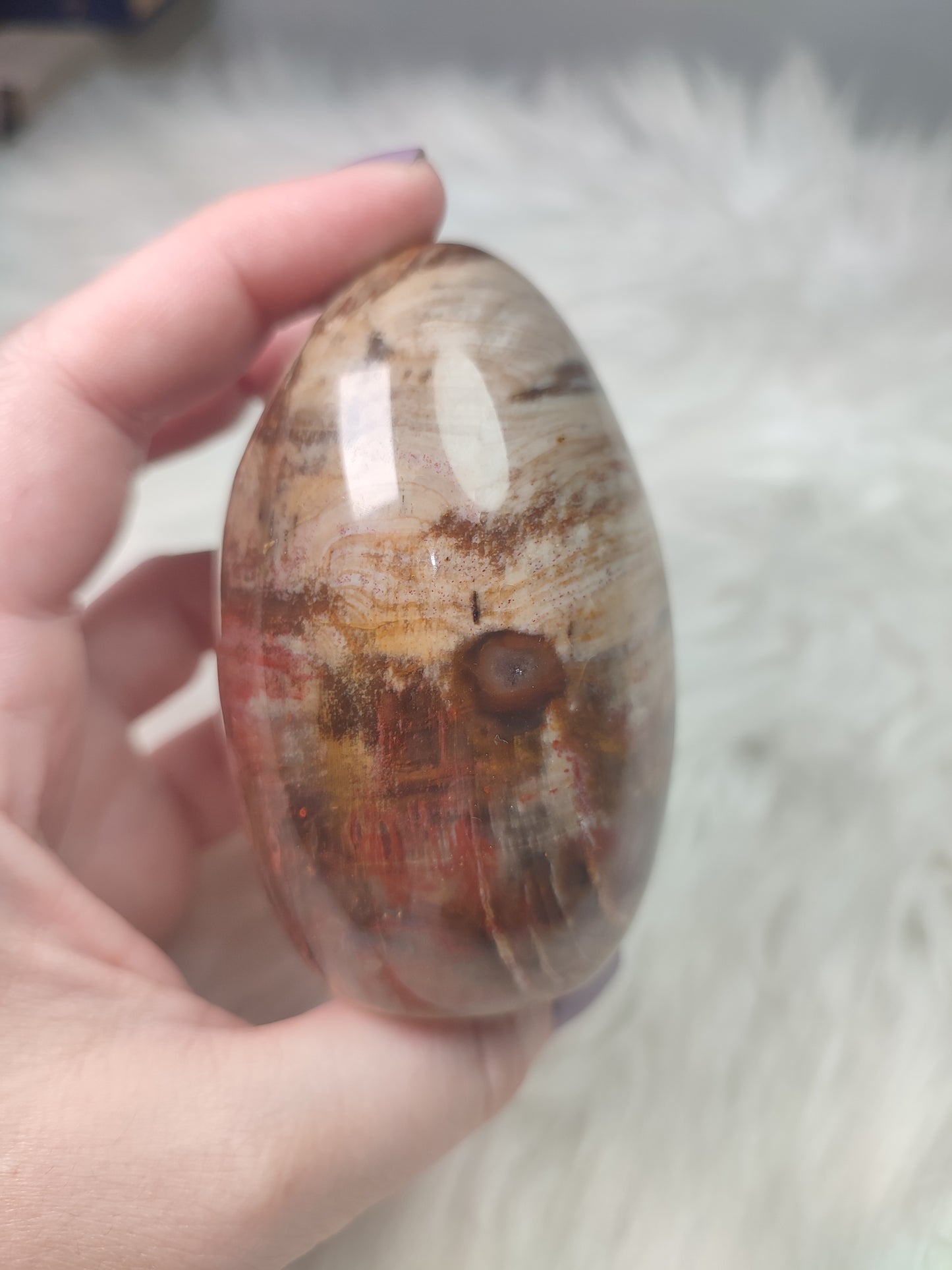 Monolito xilopalo fosilizada n° 9