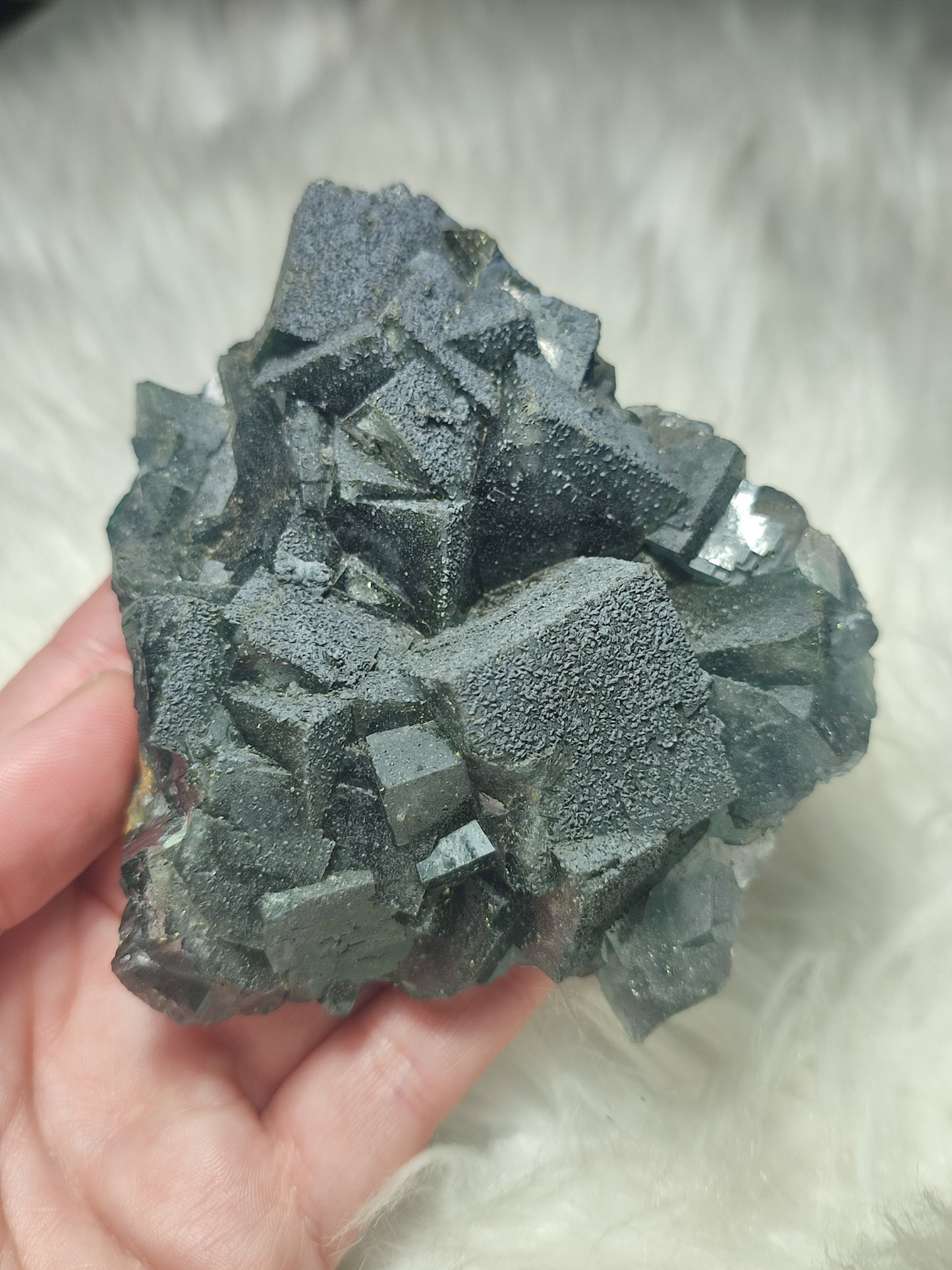 Flúorita cúbica con galena 490 gramos - ver video