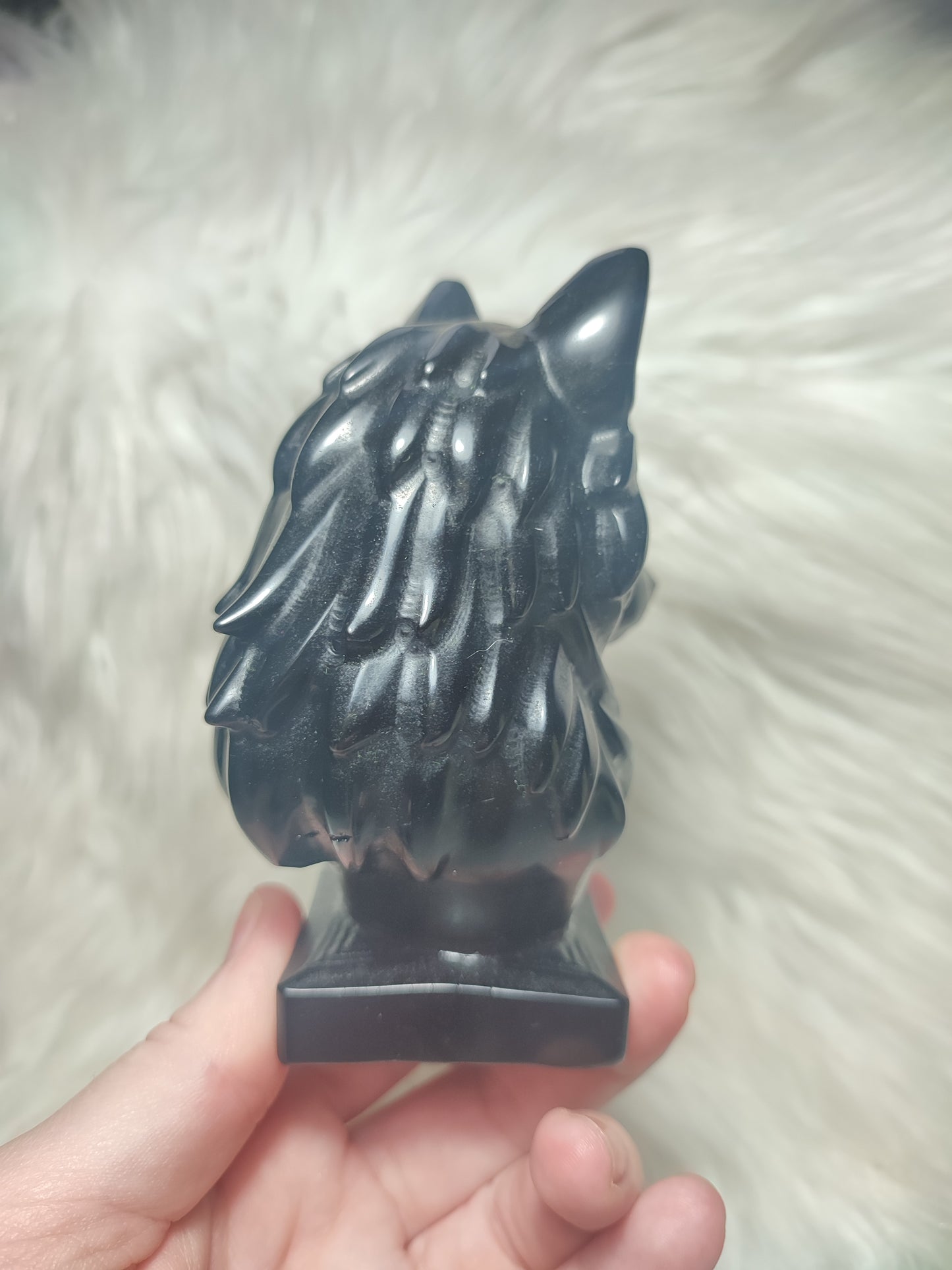 Lobo obsidiana negra n°265