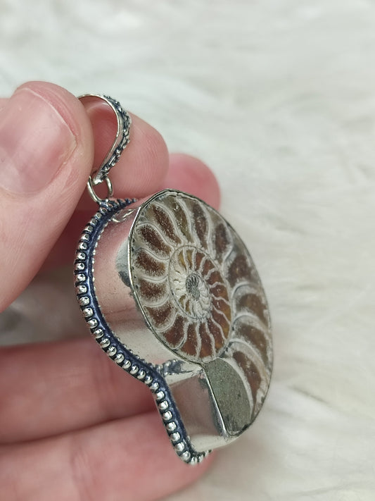 Colgante baño de plata con fósil amonite fosil - Nautilus 165